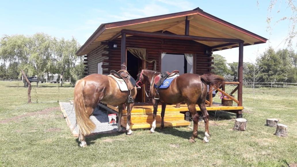 Cabana Rural El Encuentro San Antonio de Areco Exterior photo